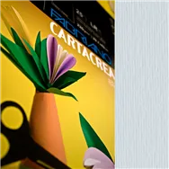 Cartoncino Colorato CartaCrea Fabriano - 35x50 cm - 220 g - 46435102 (Perla Conf. 10)