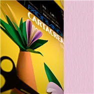 Cartoncino Colorato CartaCrea Fabriano - 35x50 cm - 220 g - 46435116 (Rosa Conf. 10)