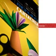 Cartoncino Colorato CartaCrea Fabriano - 35x50 cm - 220 g - 46435109 (Rosso Conf. 10)