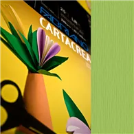 Cartoncino Colorato CartaCrea Fabriano - 35x50 cm - 220 g - 46435110 (Verde Pisello Conf. 10)