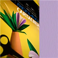 Cartoncino Colorato CartaCrea Fabriano - 35x50 cm - 220 g - 46435124 (Violetta Conf. 10)