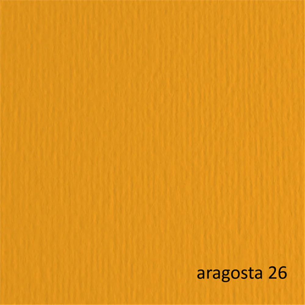 Cartoncino Colorato Elle Erre Fabriano - 70x100 cm - 220 g - 46470126 (Aragosta Conf. 10)