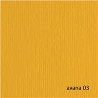 Cartoncino Colorato Elle Erre Fabriano - 70x100 cm - 220 g - 46470103 (Avana Conf. 10)