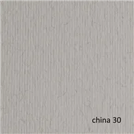 Cartoncino Colorato Elle Erre Fabriano - 70x100 cm - 220 g - 46470130 (China Conf. 10)
