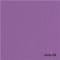 Cartoncino Colorato Elle Erre Fabriano - 70x100 cm - 220 g - 46470104 (Viola Conf. 10)