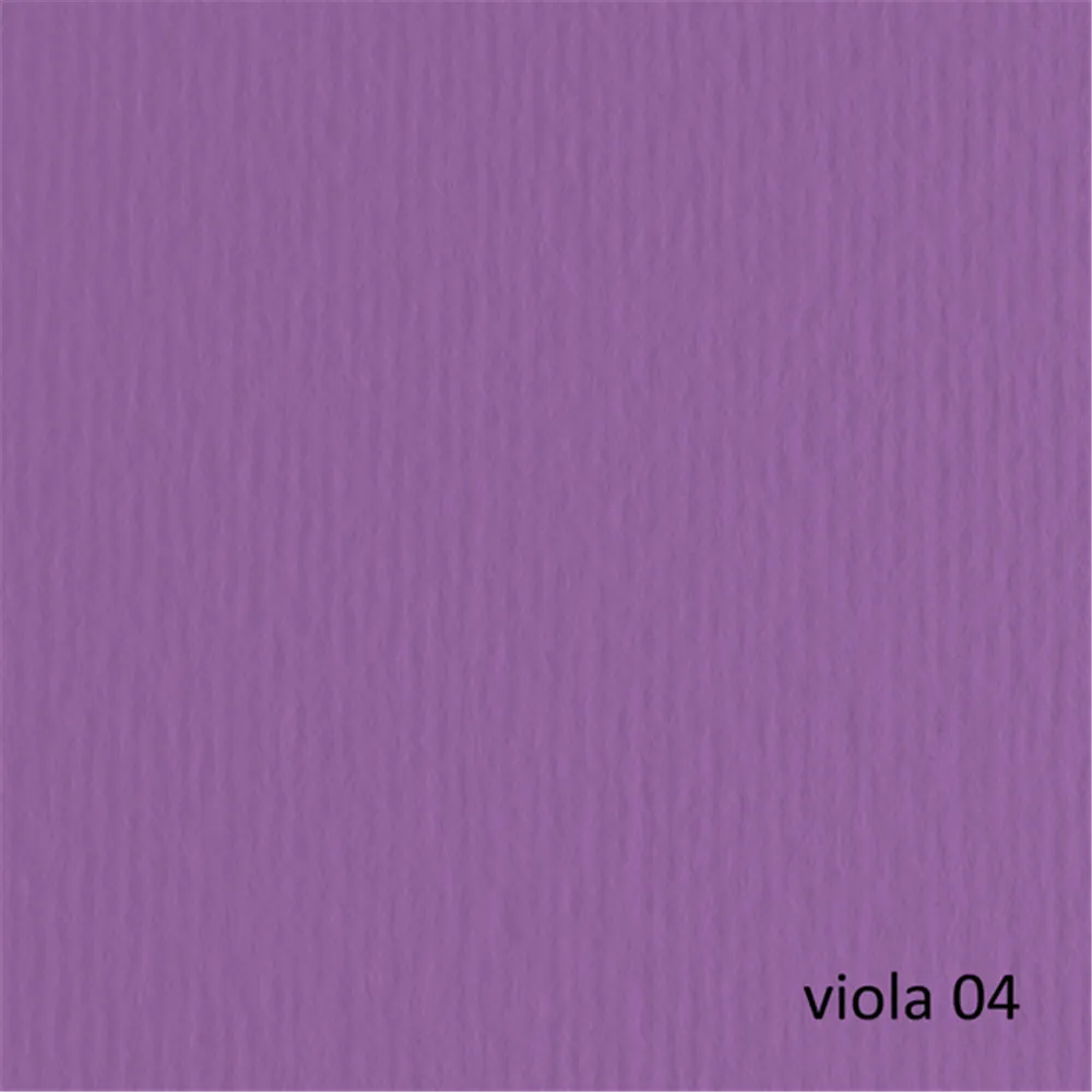 Cartoncino Colorato Elle Erre Fabriano - 70x100 cm - 220 g - 46470104 (Viola Conf. 10)
