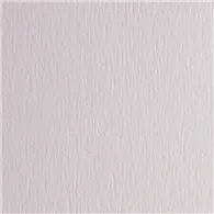 Cartoncino Colorato FaColore Fabriano - 70x100 cm - 200 g - 46303220 (Bianco Conf. 10)