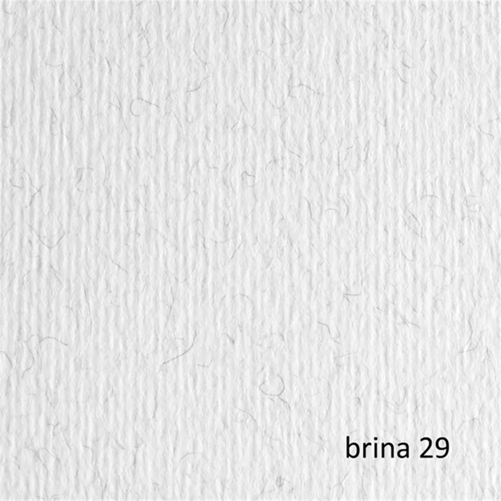 Cartoncino Colorato Elle Erre Fabriano - 50x70 cm - 220 g - 42450729 (Brina Conf. 20)