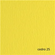 Cartoncino Colorato Elle Erre Fabriano - 50x70 cm - 220 g - 42450725 (Cedro Conf. 20)