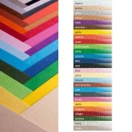 Cartoncino Colorato Elle Erre Fabriano - 50x70 cm - 220 g - 42450717 (Onice Conf. 20)