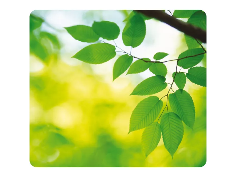 Mouse Pad Earth Fellowes - 23,2x21,4x0,8 cm - 5903801 (Foglie)