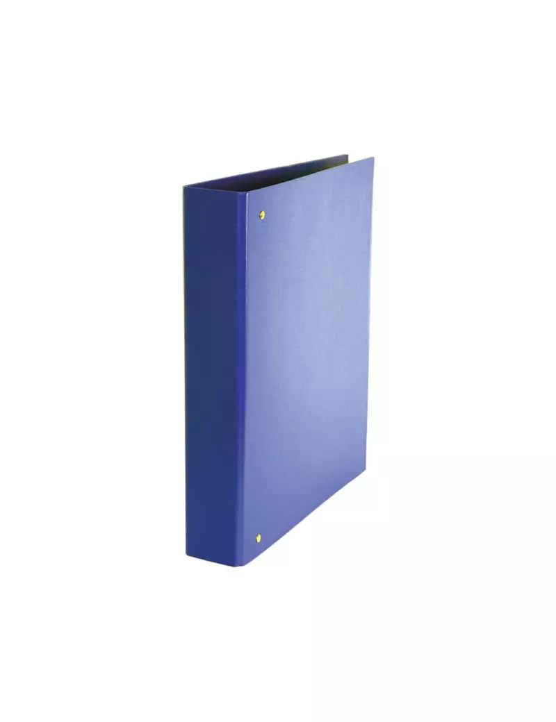 Raccoglitore Daily Esselte - A4 Maxi - 4 Anelli a D Ø40 mm - Dorso 5 cm - 395891500 (Blu) Raccoglitore Daily Esselte - A4 Maxi - 4 Anelli a D Ø40 mm - Dorso 5 cm - 395891500 (Blu)