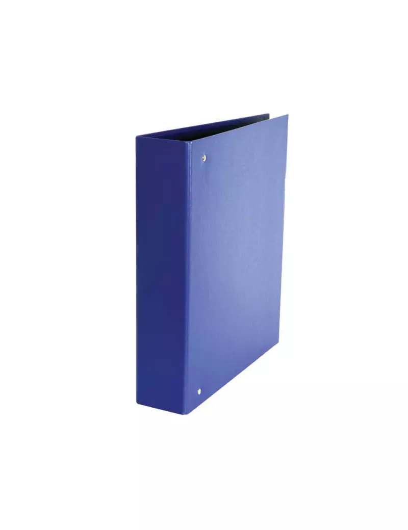 Raccoglitore Daily Esselte - A4 Maxi - 4 Anelli a D Ø50 mm - Dorso 6 cm - 395898500 (Blu) Raccoglitore Daily Esselte - A4 Maxi - 4 Anelli a D Ø50 mm - Dorso 6 cm - 395898500 (Blu)