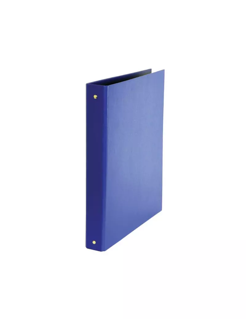 Raccoglitore Daily Esselte - A4 Maxi - 4 Anelli a R Ø30 mm - Dorso 4 cm - 395892500 (Blu) Raccoglitore Daily Esselte - A4 Maxi - 4 Anelli a R Ø30 mm - Dorso 4 cm - 395892500 (Blu)