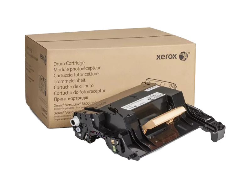 Tamburo Originale Xerox 101R00582 (Nero 60000 pagine)