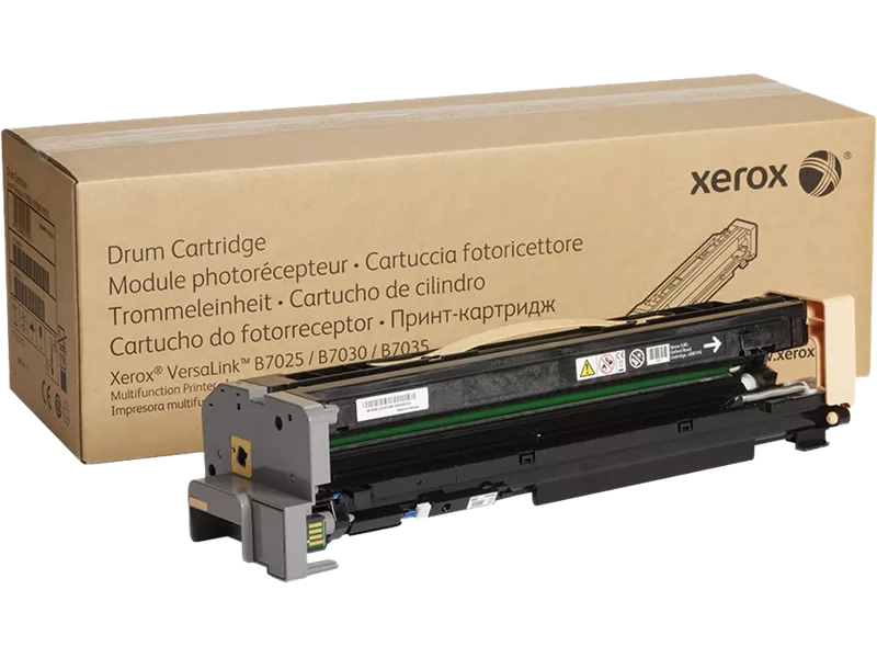 Tamburo Originale Xerox 113R00779 (Nero 80000 pagine)