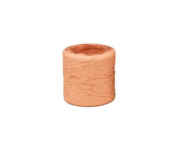 Rafia Vintage Bolis - 200 m - 51781322064 (Salmone)