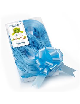 Nastro Strip per Regali 6800 Brizzolari - 31 mm x 13 cm - 00313206 (Azzurro Conf. 30)
