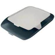 Vaschetta Portacorrispondenza con Vassoio Cosy Leitz - 52590089 (Grigio)