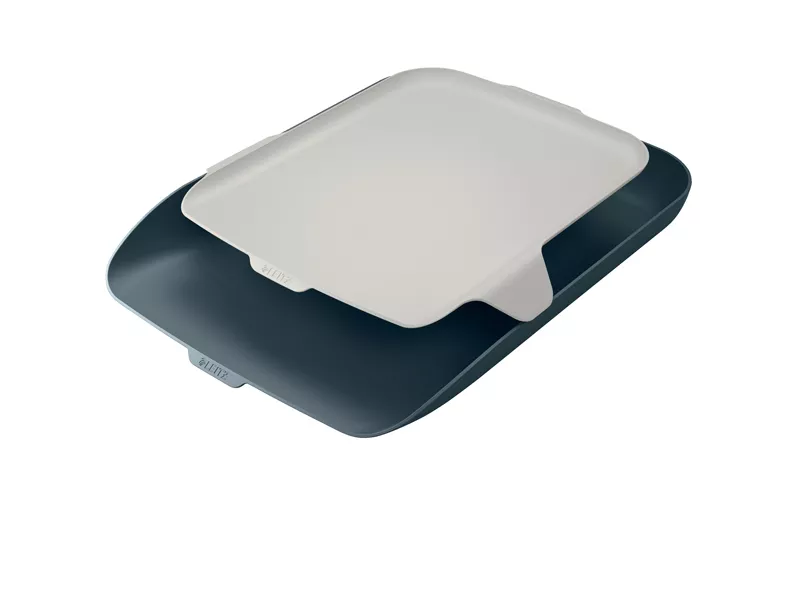 Vaschetta Portacorrispondenza con Vassoio Cosy Leitz - 52590089 (Grigio)