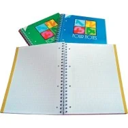 Blocco Spiralato Four Notes Blasetti - 23,2x29,7 cm - 5 mm - 120 Fogli - 1181 (Assortiti Conf. 4)