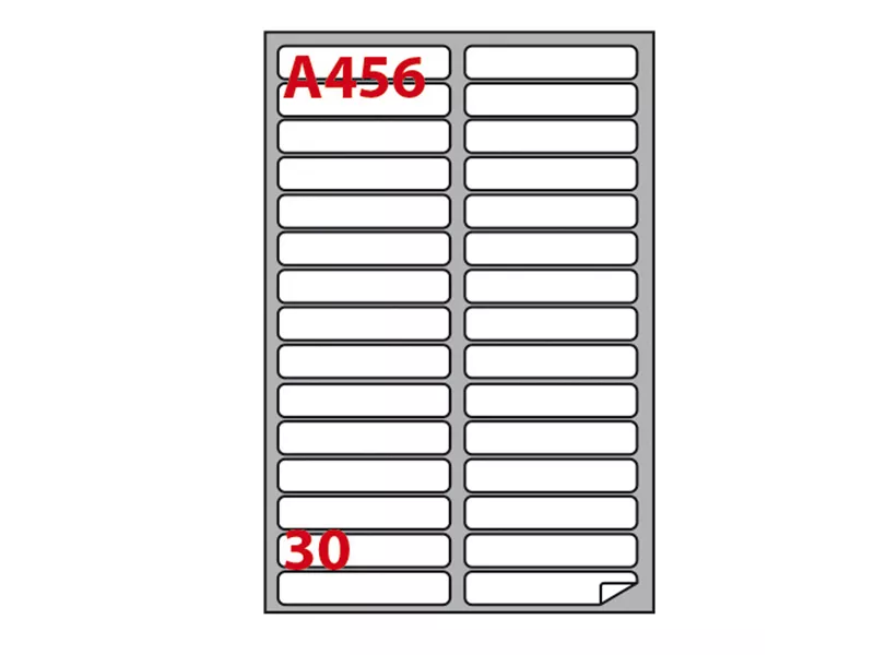 Etichette Adesive Markin - A4 - 100x17 mm - X210A456 (Bianco Conf. 100)