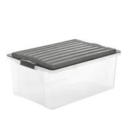 Contenitore Compact Rotho - 57x40x25 cm - 38 Litri - F717766 (Trasparente)