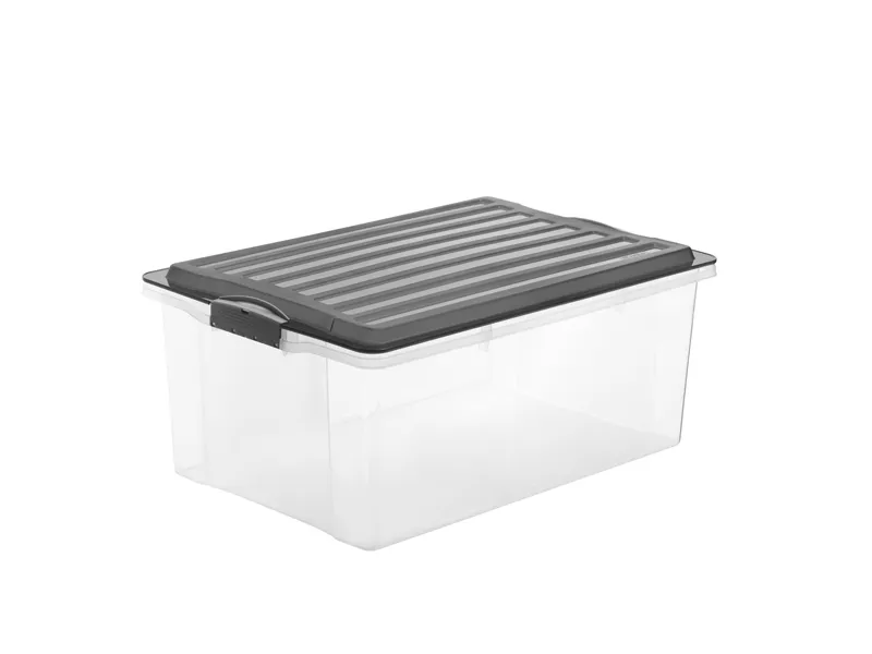 Contenitore Compact Rotho - 57x40x25 cm - 38 Litri - F717766 (Trasparente)