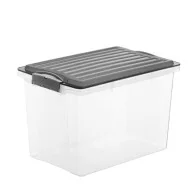 Contenitore Compact Rotho - 27x18,5x15 cm - 4,5 Litri - F717762 (Trasparente)
