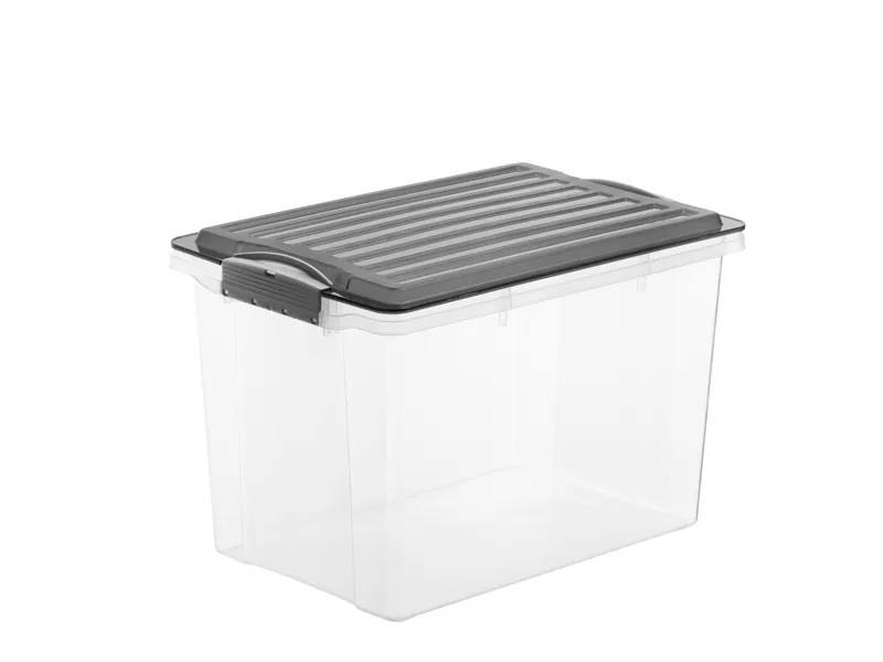 Contenitore Compact Rotho - 27x18,5x15 cm - 4,5 Litri - F717762 (Trasparente)