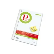 Ricambi Rinforzati per Quaderni Pignaric Pigna - A4 - Quadretti 4M senza Margini - 02194594M