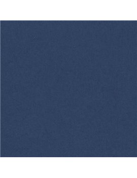 Cartoncino Colorato Colorline Canson - 70x100 cm - 220 g - 200041210 (Blu Oltremare Conf. 25)