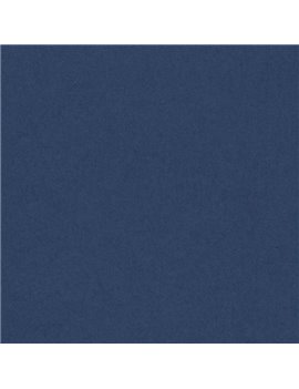 Cartoncino Colorato Colorline Canson - 70x100 cm - 220 g - 200041210 (Blu Oltremare Conf. 25)