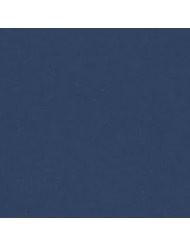 Cartoncino Colorato Colorline Canson - 70x100 cm - 220 g - 200041210 (Blu Oltremare Conf. 25)