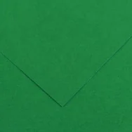 Cartoncino Colorato Colorline Canson - 70x100 cm - 220 g - 200041216 (Verde Vivo Conf. 25)