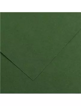 Cartoncino Colorato Colorline Canson - 70x100 cm - 220 g - 200041217 (Verde Abete Conf. 25)