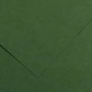 Cartoncino Colorato Colorline Canson - 70x100 cm - 220 g - 200041217 (Verde Abete Conf. 25)