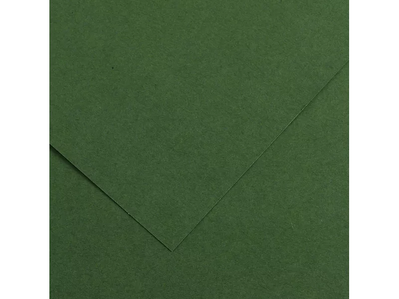 Cartoncino Colorato Colorline Canson - 70x100 cm - 220 g - 200041217 (Verde Abete Conf. 25)