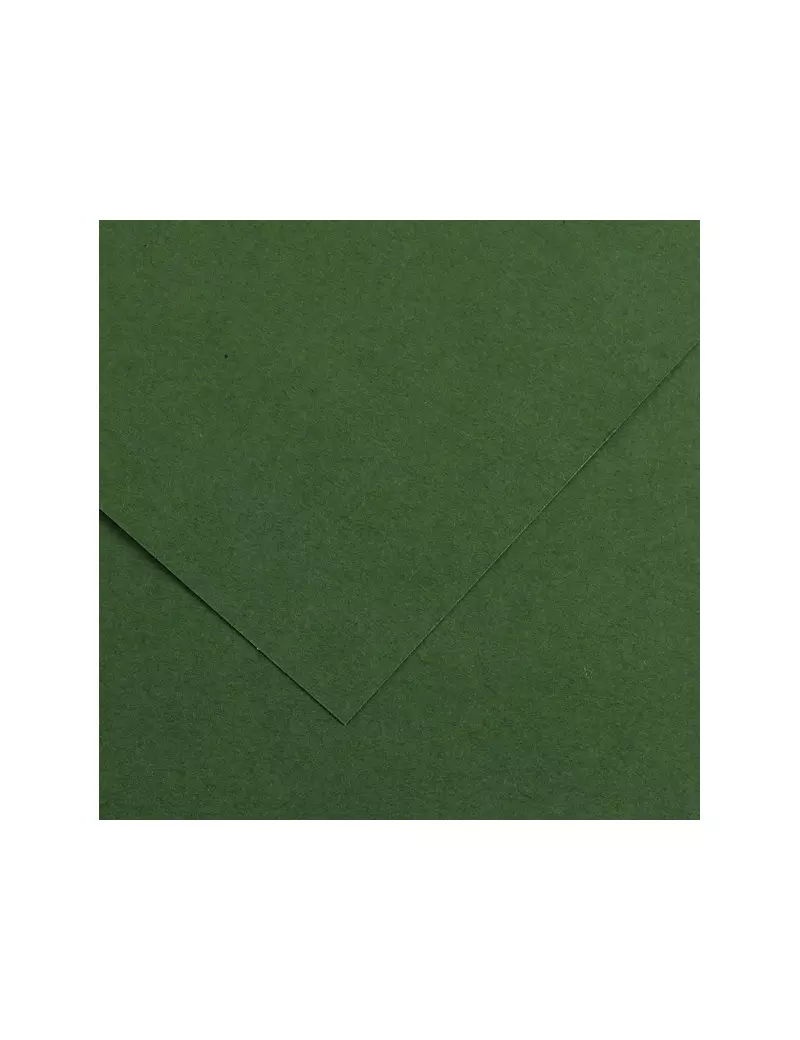 Cartoncino Colorato Colorline Canson - 70x100 cm - 220 g - 200041217 (Verde Abete Conf. 25)