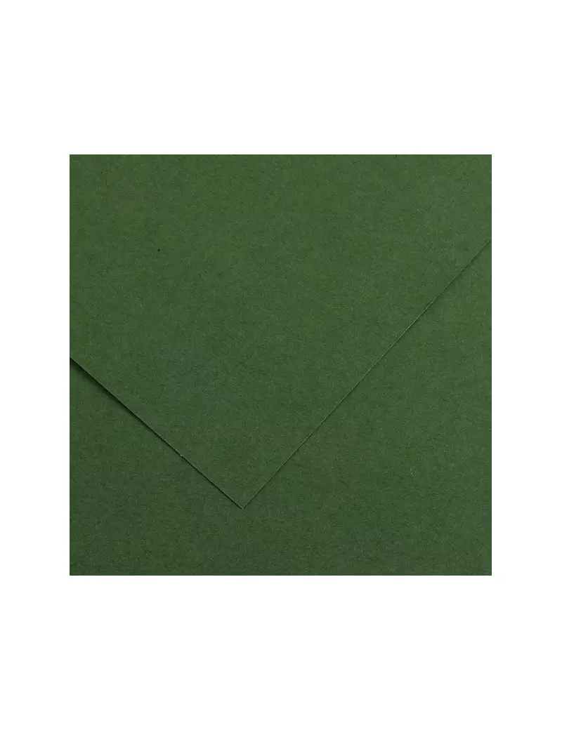 Cartoncino Colorato Colorline Canson - 70x100 cm - 220 g - 200041217 (Verde Abete Conf. 25) Cartoncino Colorato Colorline Canson - 70x100 cm - 220 g - 200041217 (Verde Abete Conf. 25)