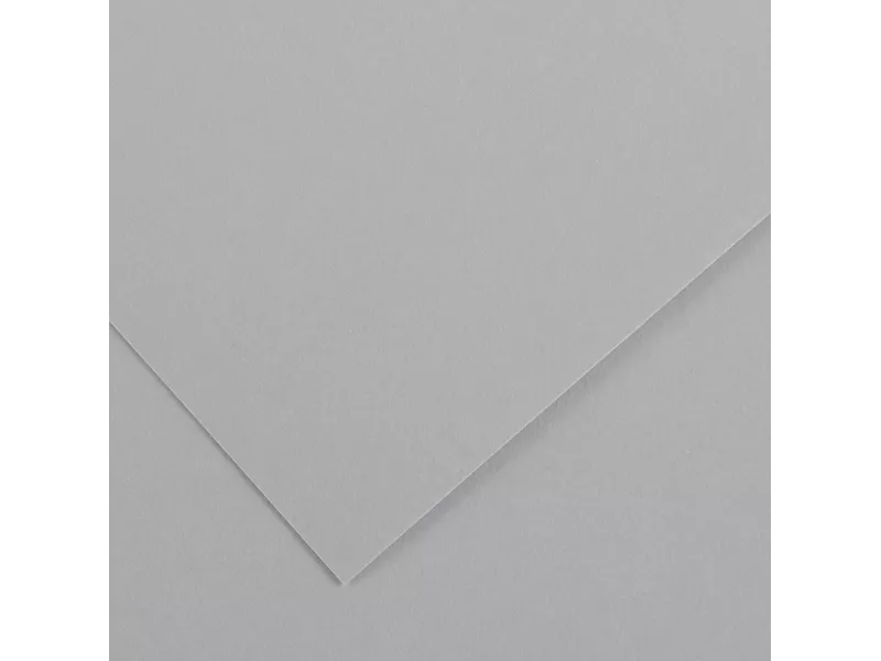 Cartoncino Colorato Colorline Canson - 70x100 cm - 220 g - 200041221 (Grigio Chiaro Conf. 25) Cartoncino Colorato Colorline Canson - 70x100 cm - 220 g - 200041221 (Grigio Chiaro Conf. 25)