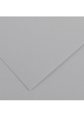 Cartoncino Colorato Colorline Canson - 70x100 cm - 220 g - 200041221 (Grigio Chiaro Conf. 25)