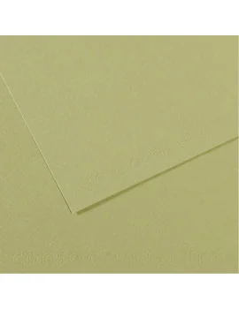 Carta Colorata Mi-Teintes Canson - A4 - 160 g - C31032S022 (Verde Mandorla Conf. 25)