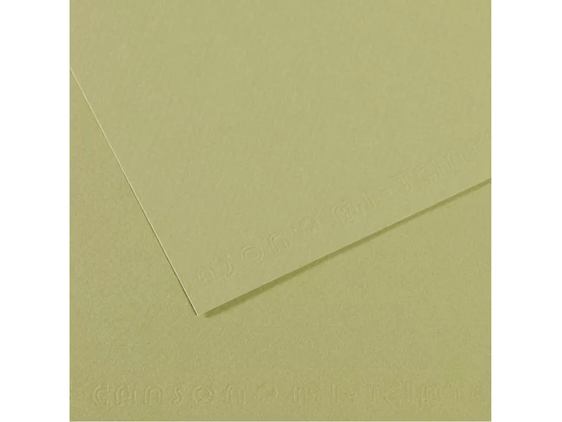 Carta Colorata Mi-Teintes Canson - A4 - 160 g - C31032S022 (Verde Mandorla Conf. 25)