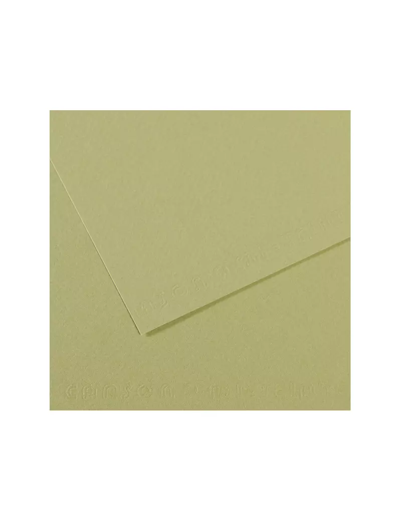 Carta Colorata Mi-Teintes Canson - A4 - 160 g - C31032S022 (Verde Mandorla Conf. 25)