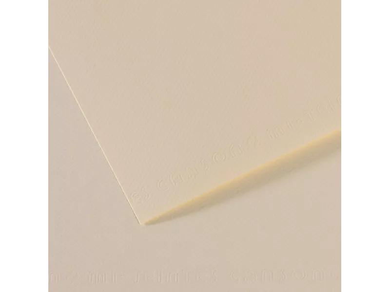 Carta Colorata Mi-Teintes Canson - A4 - 160 g - C31032S006 (Giglio Conf. 25)