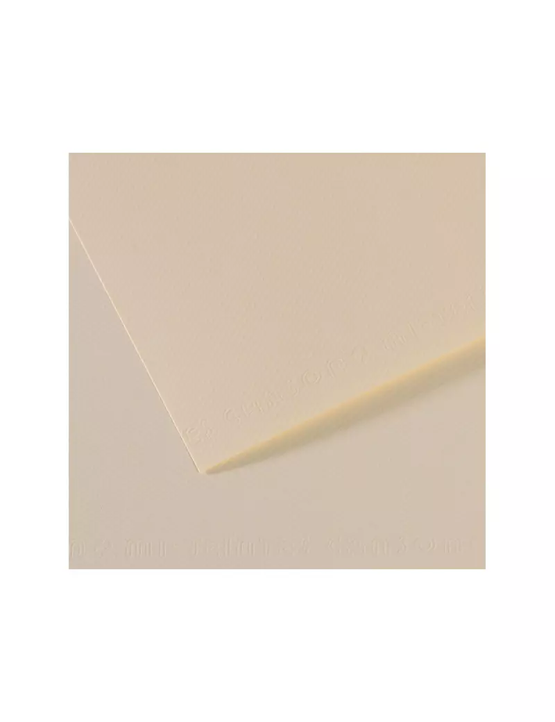 Carta Colorata Mi-Teintes Canson - A4 - 160 g - C31032S006 (Giglio Conf. 25) Carta Colorata Mi-Teintes Canson - A4 - 160 g - C31032S006 (Giglio Conf. 25)