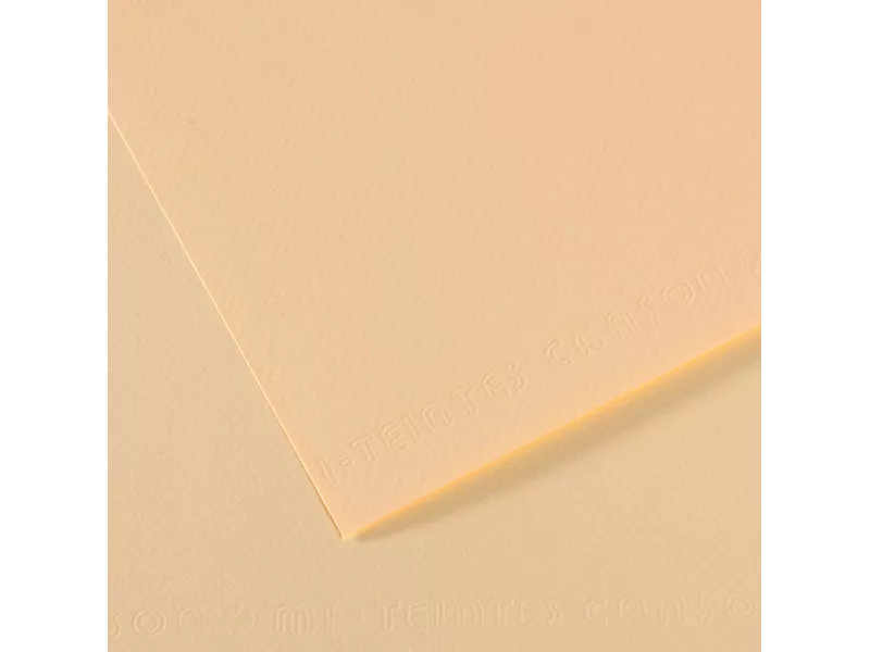 Carta Colorata Mi-Teintes Canson - A4 - 160 g - C31032S007 (Avorio Conf. 25)