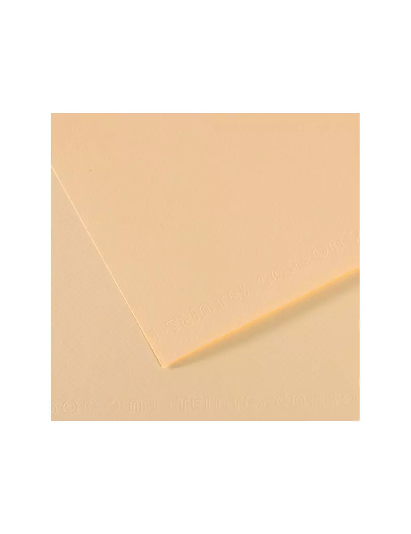 Carta Colorata Mi-Teintes Canson - A4 - 160 g - C31032S007 (Avorio Conf. 25) Carta Colorata Mi-Teintes Canson - A4 - 160 g - C31032S007 (Avorio Conf. 25)