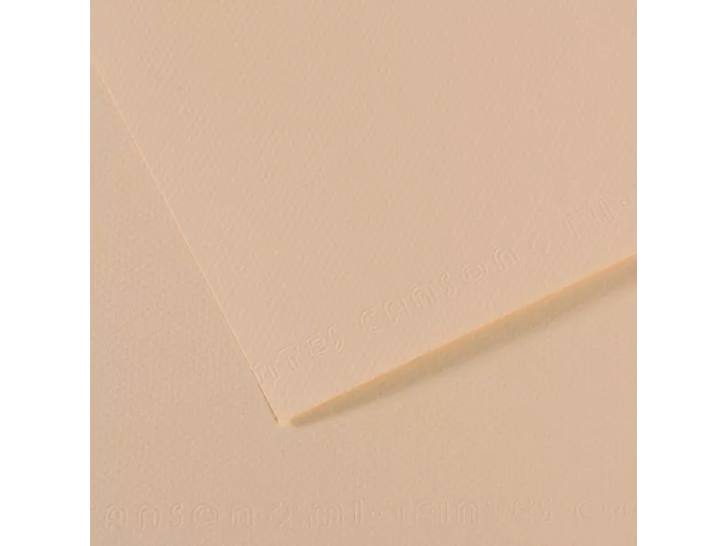Carta Colorata Mi-Teintes Canson - A4 - 160 g - C31032S008 (Conchiglia Conf. 25) Carta Colorata Mi-Teintes Canson - A4 - 160 g - C31032S008 (Conchiglia Conf. 25)